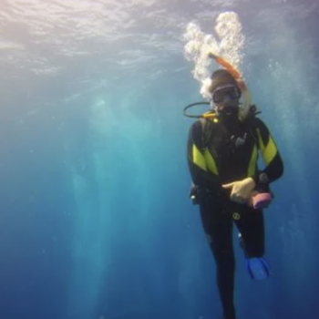 Clownfish and Corals with Dr. Tammy Goulet